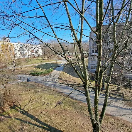 Prie Centro Ramybe Tarp Medziu *