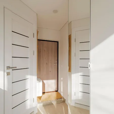 Prie Centro Ramybe Tarp Medziu