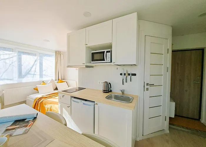 Prie Centro Ramybe Tarp Medziu Wilno