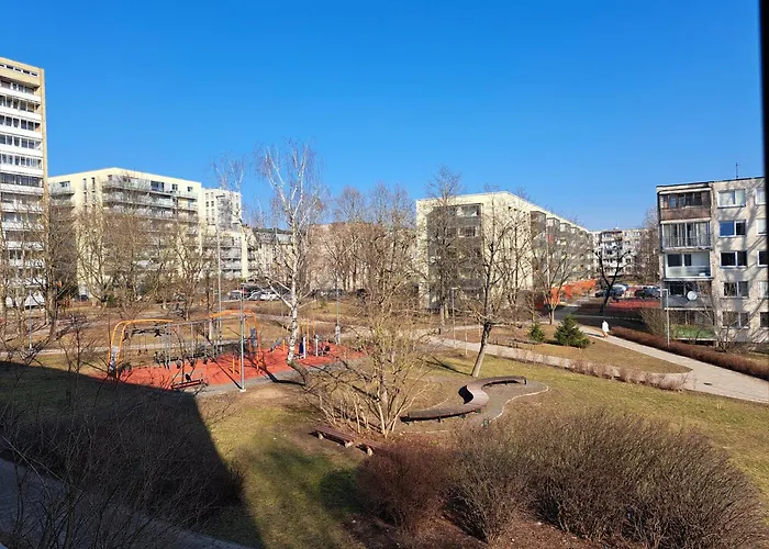 Prie Centro Ramybe Tarp Medziu