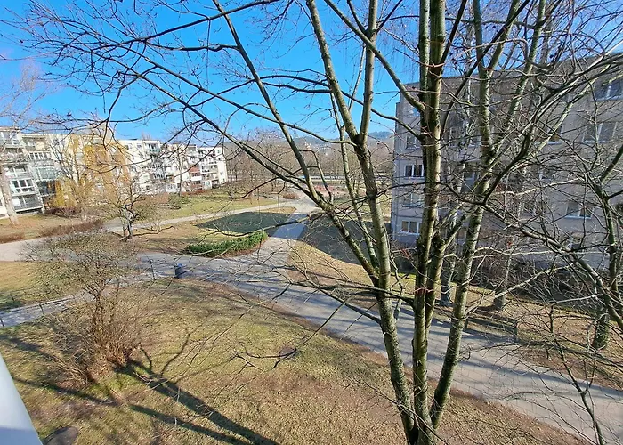 Prie Centro Ramybe Tarp Medziu *