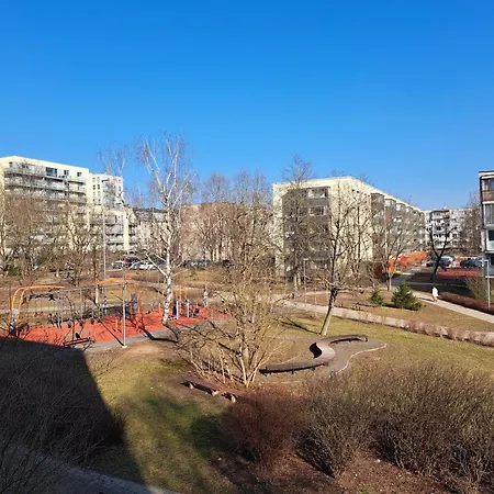 Prie Centro Ramybe Tarp Medziu